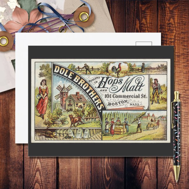 Dole Brothers Ad Hops und Malt Ephememery Postkarte (Von Creator hochgeladen)