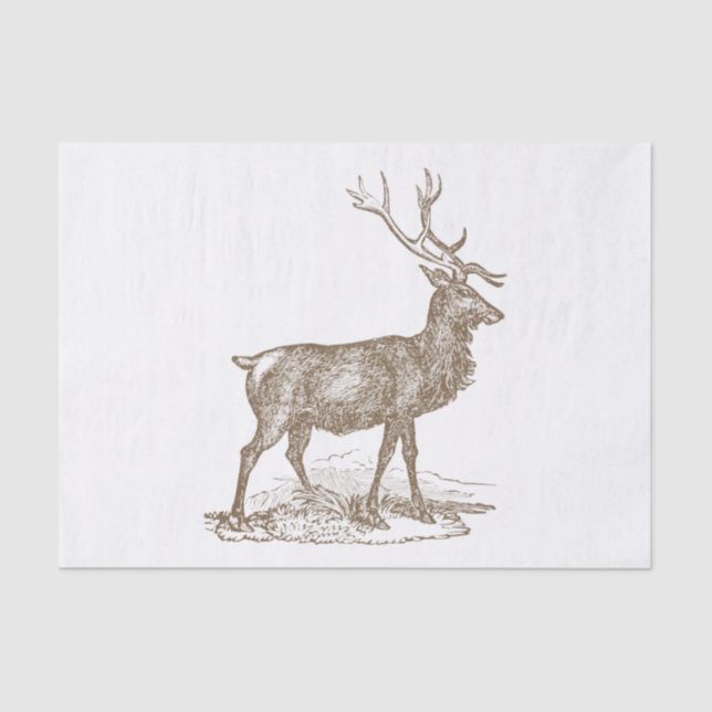 Dollar-Maultierhirsch-Briefbeschwerer-Art Seidenpapier (Vorderseite)