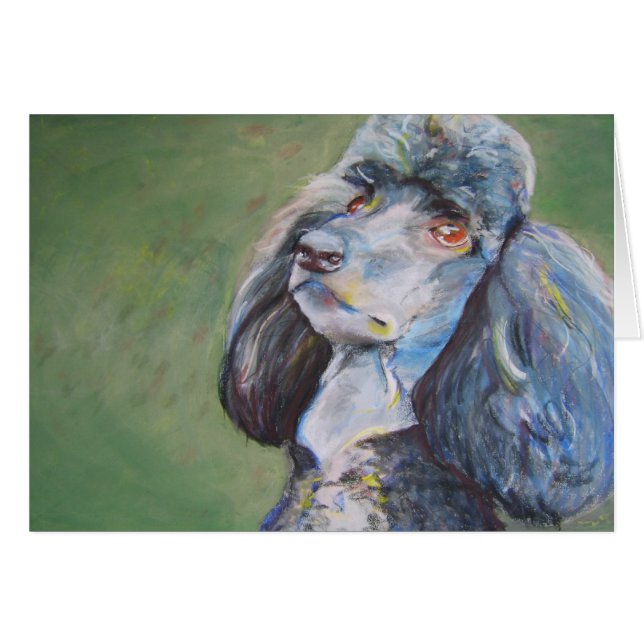 Dollar, Standardpudel (Vorderseite (Horizontal))