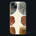 Dollars-Edelsteine Case-Mate iPhone Hülle<br><div class="desc">Sand Dollars sind ein einzigartiges Juwel im Meer. Dieses Bild enthält sehr einzigartige und farbenfrohe Sand Dollars. Diderot kontrastierte diese Sand Dollars mit einem weichen,  cremefarbenen Hintergrund. Holen Sie sich heute Ihre Sand-Dollar-Edelsteine auf Ihrem Zazzle-Produkt.</div>