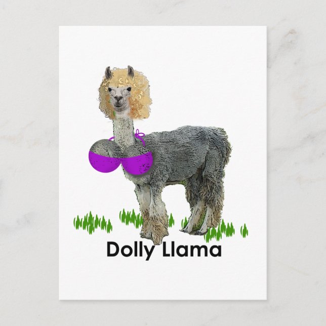 Dolly Llama Postkarte (Vorderseite)