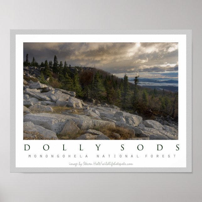Dolly Sods Wilderness Area West Virginia Poster (Vorne)