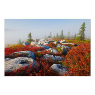 Dolly Sods Wilderness wird mit Nebel Landschaftlic Poster