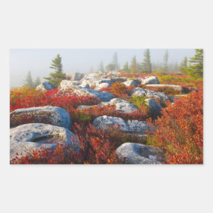 Dolly Sods Wilderness wird mit Nebel Landschaftlic Rechteckiger Aufkleber