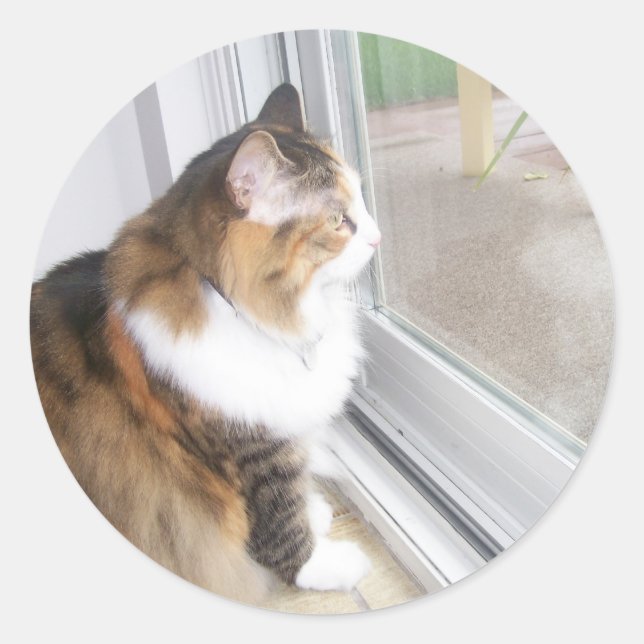 Dolly the Cat Looking out Window Stickers (Vorderseite)