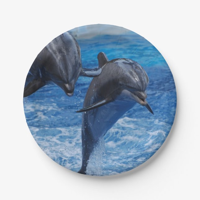 dolphin-104.jpg pappteller (Vorderseite)