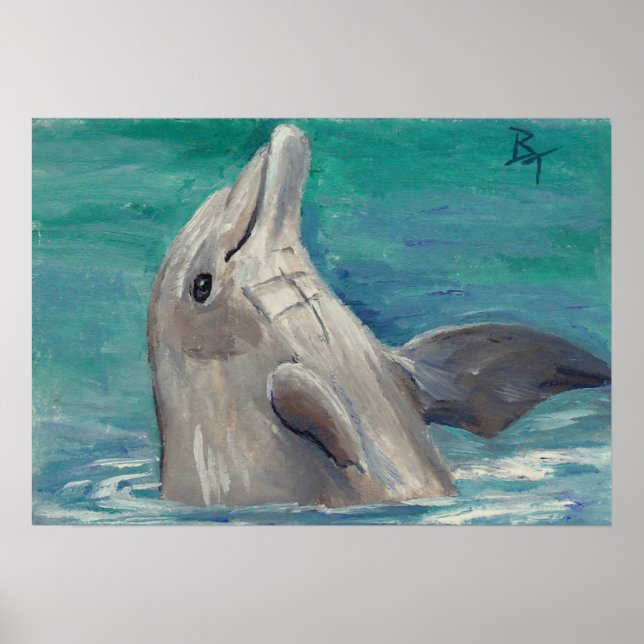 Dolphin Aceum Poster Print (Vorne)