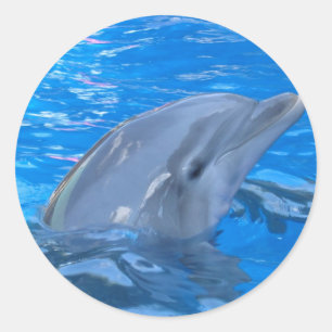 Dolphin-Aufkleber Runder Aufkleber