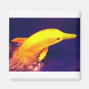 Dolphin Banana Magnet