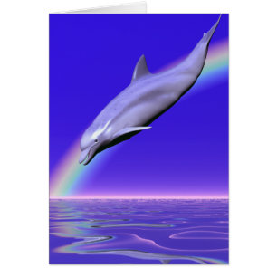 Dolphin Diving with Rainbow