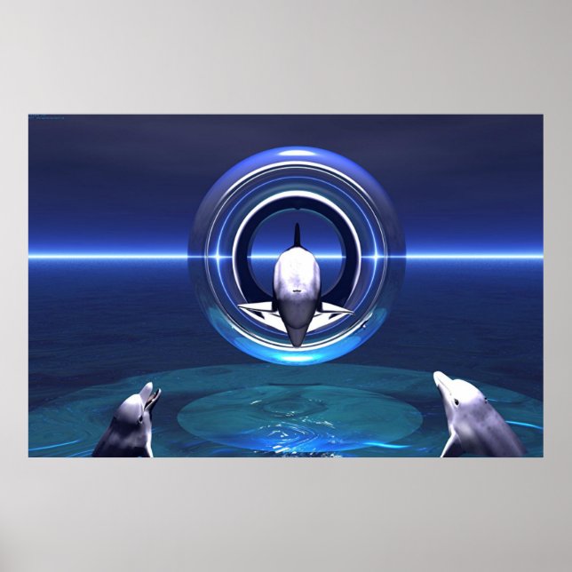 Dolphin Dreams Poster (Vorne)