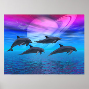 Dolphin Dreams Poster