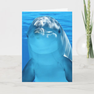 DOLPHIN FOTOGRAFIE BIRTHDAY CARD KARTE