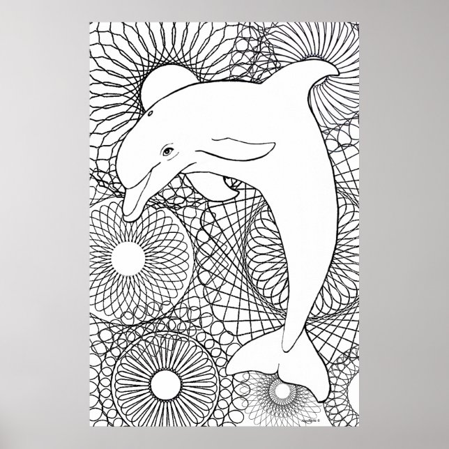 Dolphin Harmony Poster (Vorne)