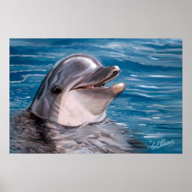 DOLPHIN HEAD POSTER (Vorne)