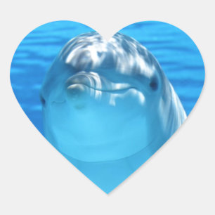 Dolphin Herz-Aufkleber
