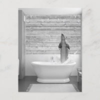 Dolphin in der Badewanne