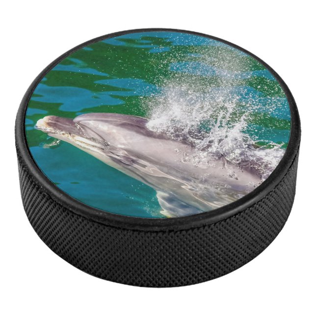 Dolphin in Milford Sound, Neuseeland Eishockey Puck (3/4)