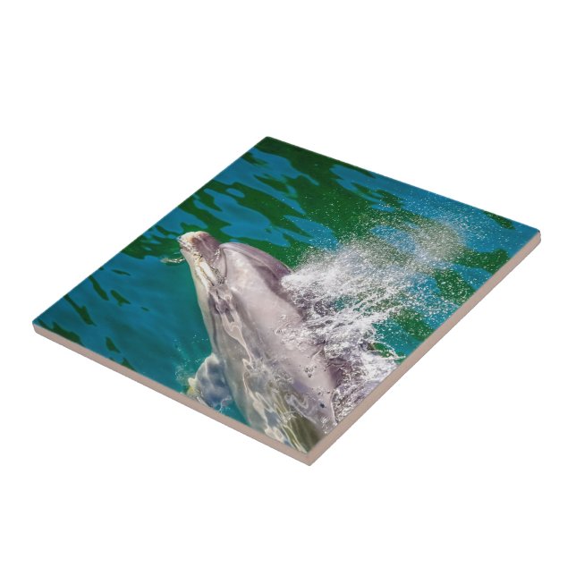 Dolphin in Milford Sound, Neuseeland Fliese (Seite)
