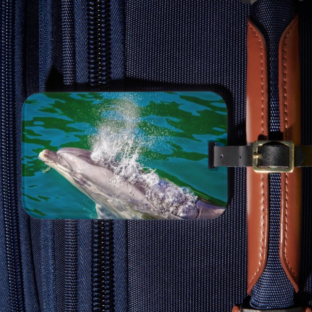 Dolphin in Milford Sound, Neuseeland Gepäckanhänger (Vorderseite Insitu 4)