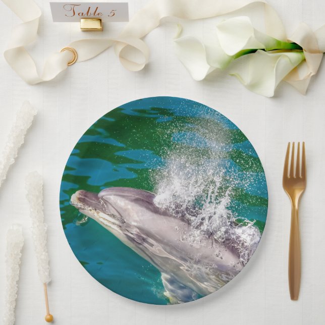 Dolphin in Milford Sound, Neuseeland Pappteller (Hochzeit)