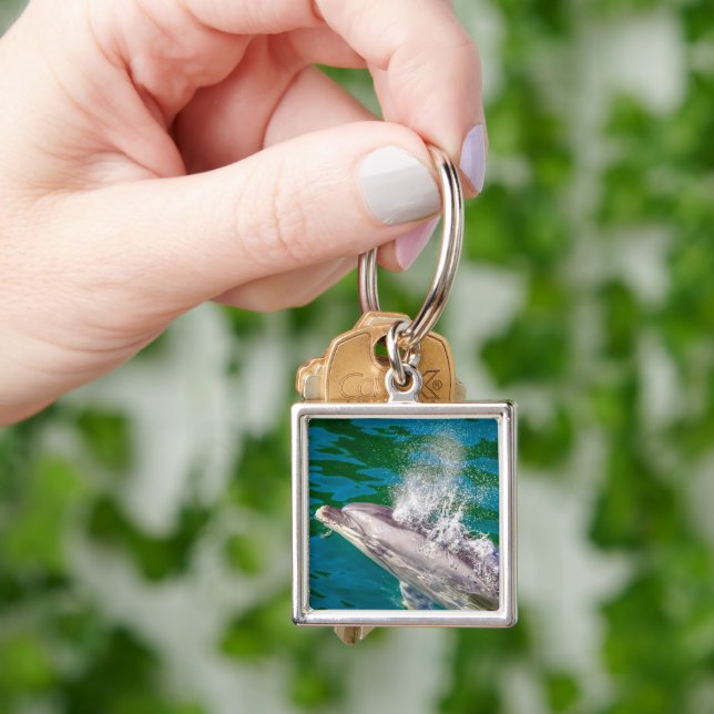 Dolphin in Milford Sound, Neuseeland Schlüsselanhänger (Hand)