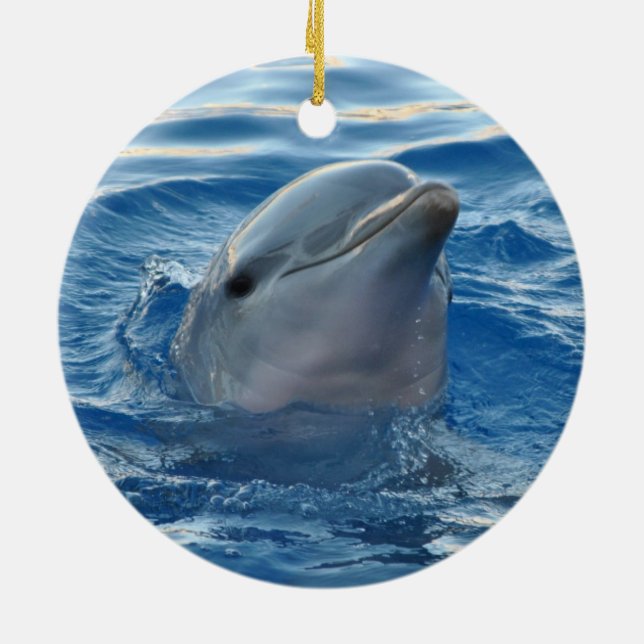 Dolphin Keramik Ornament (Hinten)
