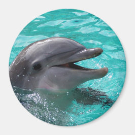 Dolphin Kopf in Wasser Magnet