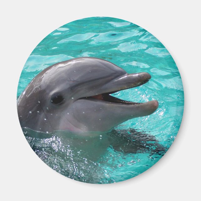 Dolphin Kopf in Wasser Magnet (Vorne)