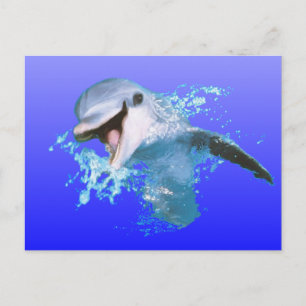 Dolphin Lächeln Postkarte