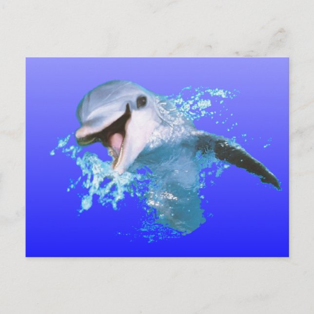 Dolphin Lächeln Postkarte (Vorderseite)