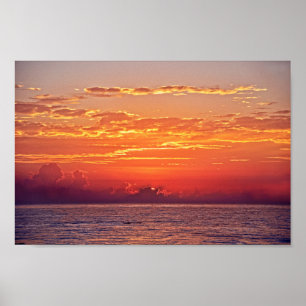 Dolphin Leaping bei Sonnenaufgang Poster