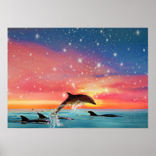 Dolphin Leaping   Weiße See und Sterne Poster