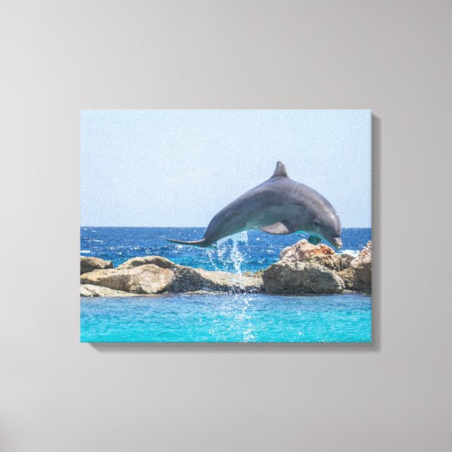 Dolphin Leinwanddruck (Vorderseite)