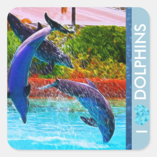 Dolphin Lovers Stickers