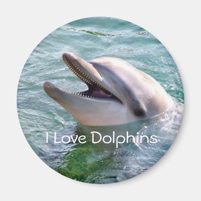 Dolphin Magnet (Vorne)