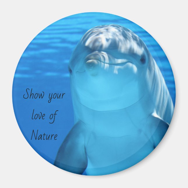 Dolphin Message Magnet (Vorne)