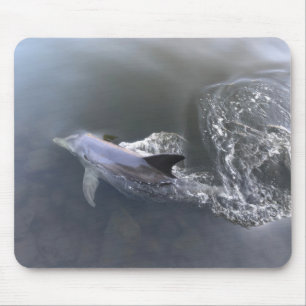 Dolphin Mousepad