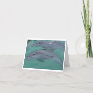 Dolphin Note Cards Karte