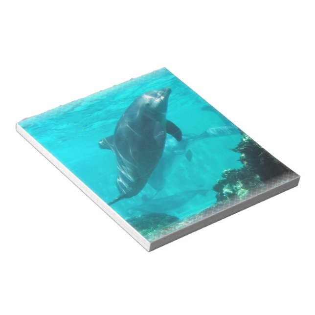 Dolphin Notepad Notizblock (angewinkelt)