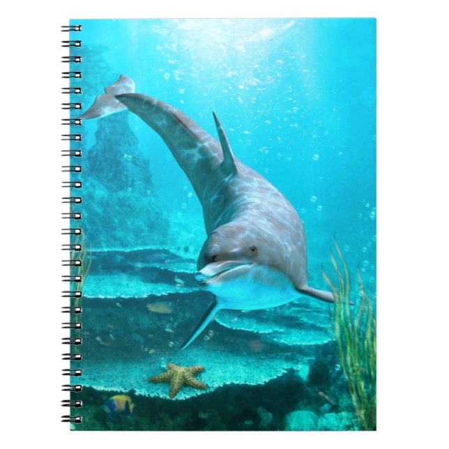 Dolphin Notizblock (Vorderseite)