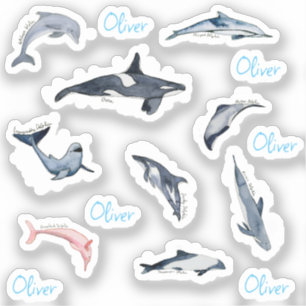 Dolphin Orca Aquarell zeichnend personalisierter N Aufkleber