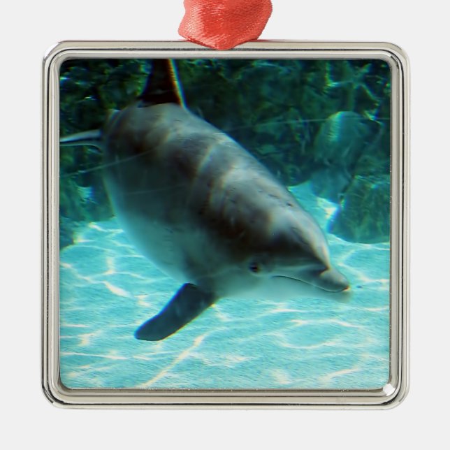 Dolphin Ornament Aus Metall (Vorne)