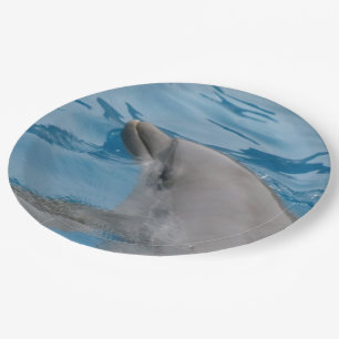 Dolphin-Papier-Teller Pappteller