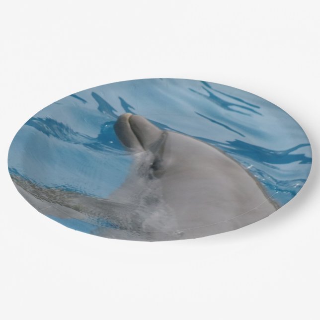 Dolphin-Papier-Teller Pappteller (Schrägansicht)