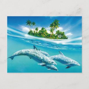 Dolphin-Paradies Postkarte