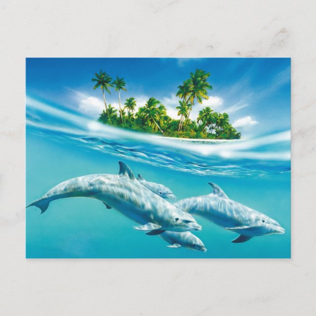 Dolphin-Paradies Postkarte (Vorderseite)