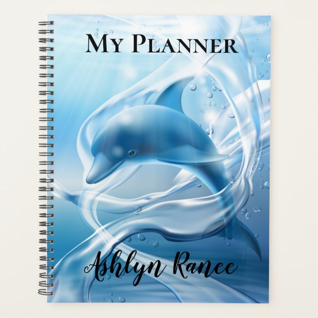 Dolphin Planer (Vorderseite)