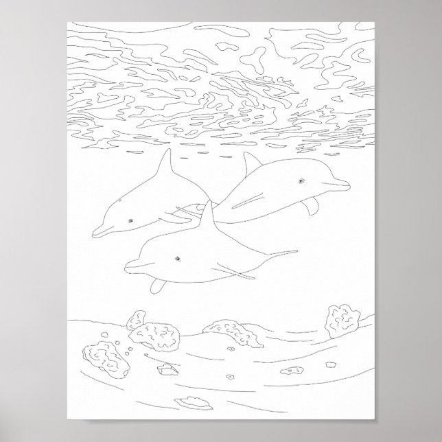 Dolphin Pod Aduloring Poster (Vorne)