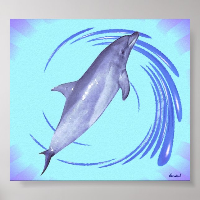 Dolphin Poster (Vorne)